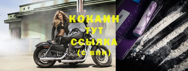 круглые Богданович