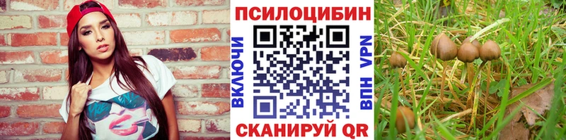 Псилоцибиновые грибы ЛСД Избербаш